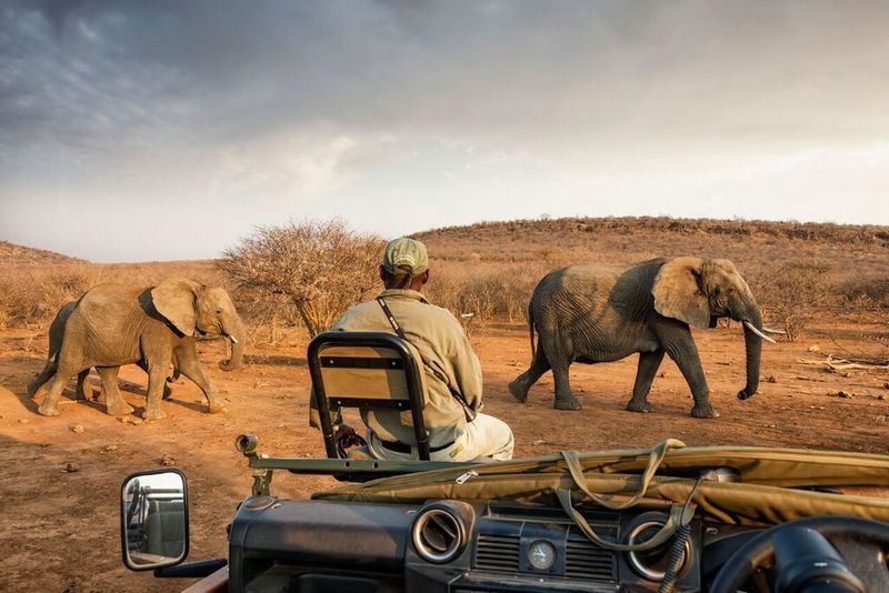 Impodimo Game Lodge Заповедник Мадикве Экстерьер фото